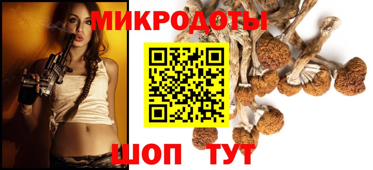 Ростов-на-Дону  Псилоцибиновые грибы мухоморы  Вход с VPN 