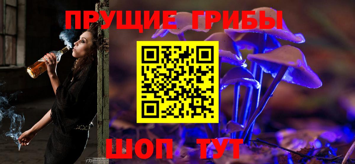 Псилоцибиновые грибы прущие грибы Ростов-на-Дону